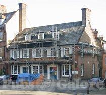 Picture of The Old White Bear