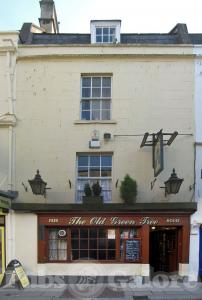 Picture of The Old Green Tree