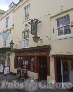 Picture of The Old Green Tree