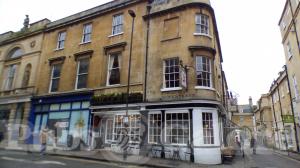 Picture of The Raven