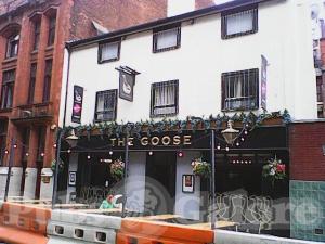 Picture of The Goose