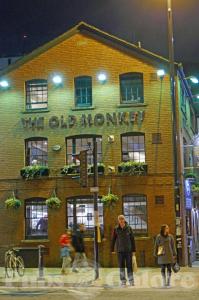Picture of The Old Monkey