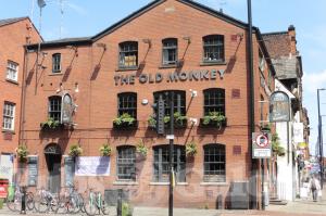 Picture of The Old Monkey