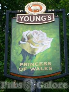 Picture of The Princess of Wales