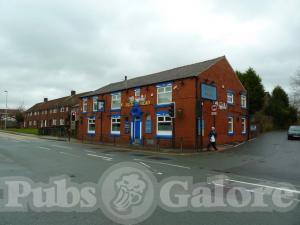 Picture of Bulls Head