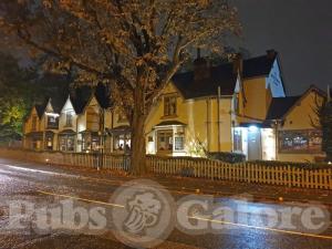 Picture of The White Swan