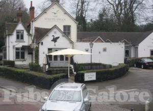 Picture of The White Swan