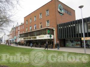 Picture of Litten Tree