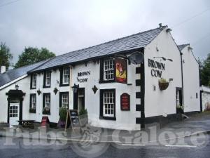 Picture of The Brown Cow