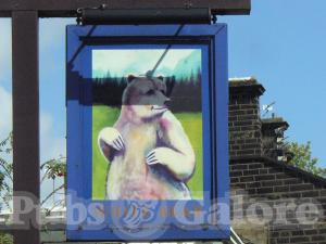 Picture of White Bear