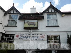 Picture of The Black Bull