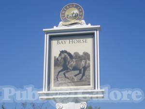 Picture of Bay Horse