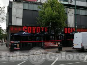 Picture of Coyote Ugly