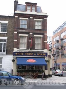 Picture of The White Horse & Bower