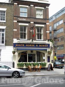 Picture of The White Horse & Bower