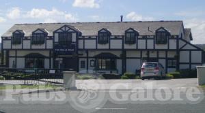 Picture of Bulls Head
