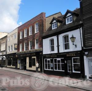 Picture of The Golden Lion (JD Wetherspoon)