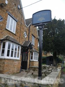 Picture of The Yew Tree
