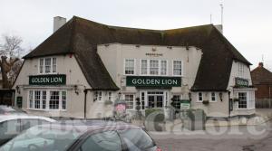 Picture of Golden Lion