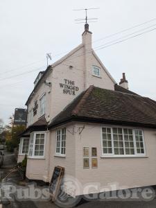 Picture of The Winged Spur