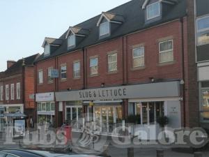 Picture of Slug & Lettuce