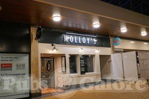 Picture of Molloy's