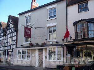 Picture of The Turks Head