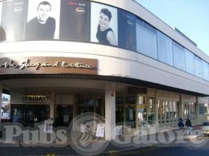Picture of Turtle Bay
