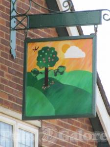 Picture of The Apple Tree