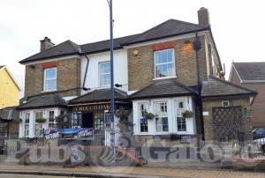 Picture of Crouch Oak