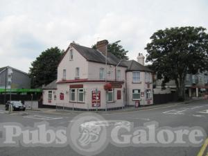 Picture of The Golden Lion