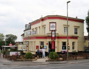 Picture of The Old Chestnut