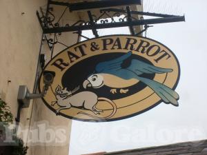 Picture of The Rat and Parrot