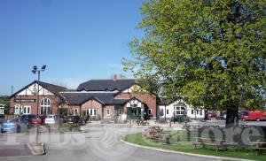 Picture of The Chestnut Tree