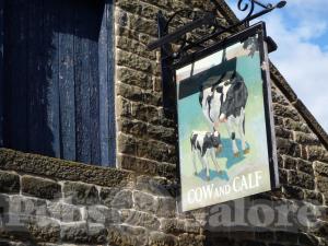 Picture of The Cow and Calf