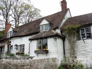 Picture of Royal Oak