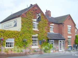 Picture of The Falcon Inn
