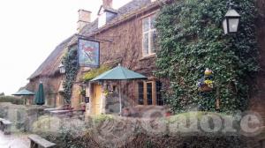 Picture of The Falkland Arms
