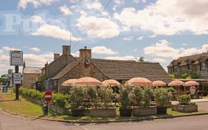 Picture of The Duke Of Marlborough