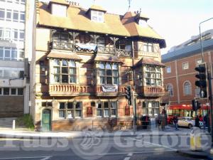 Picture of The Rose of England