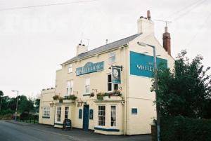 Picture of The White Lion