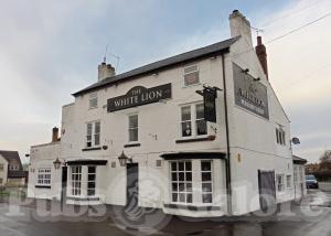 Picture of The White Lion