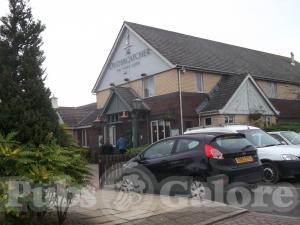 Picture of Harvester Oystercatcher