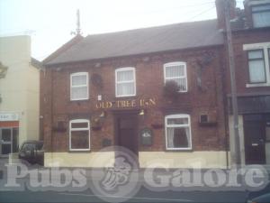 Picture of The Old Tree Inn