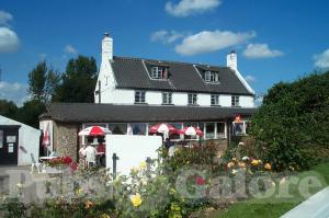Picture of Reedham Ferry Inn