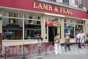 Picture of Lamb & Flag