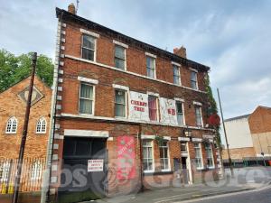 Picture of Cherry Tree