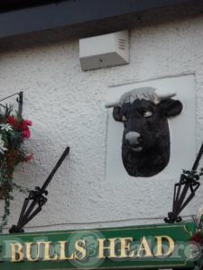 Picture of Bulls Head