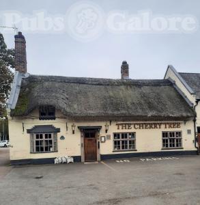 Picture of Cherry Tree