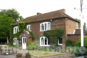 Picture of The Flying Horse